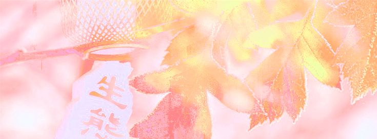 Banner image