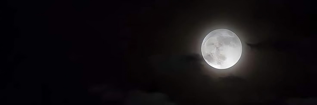 Banner image