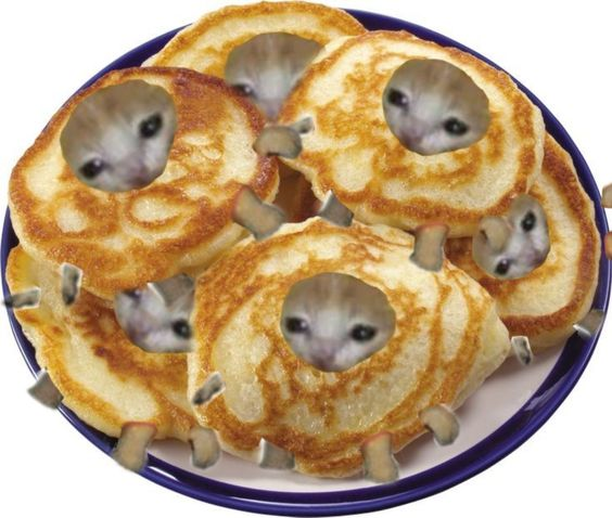 Banner image