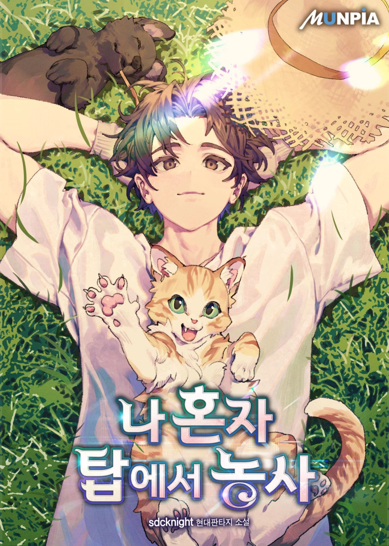 Novel cover image