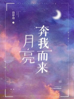 Novel cover image