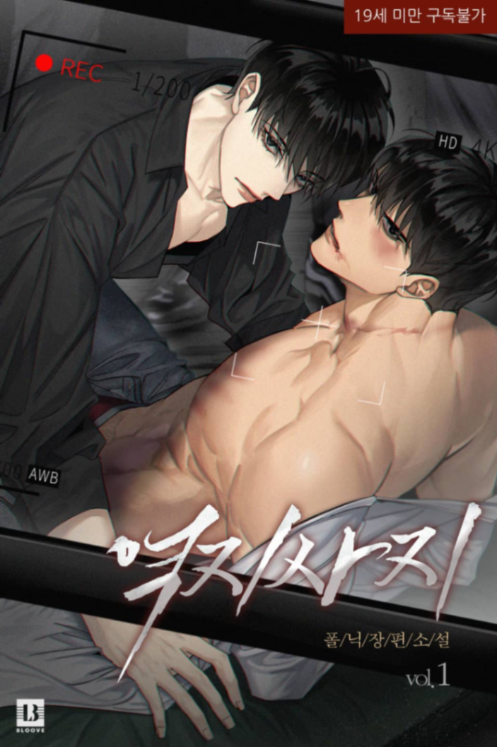 Novel cover image