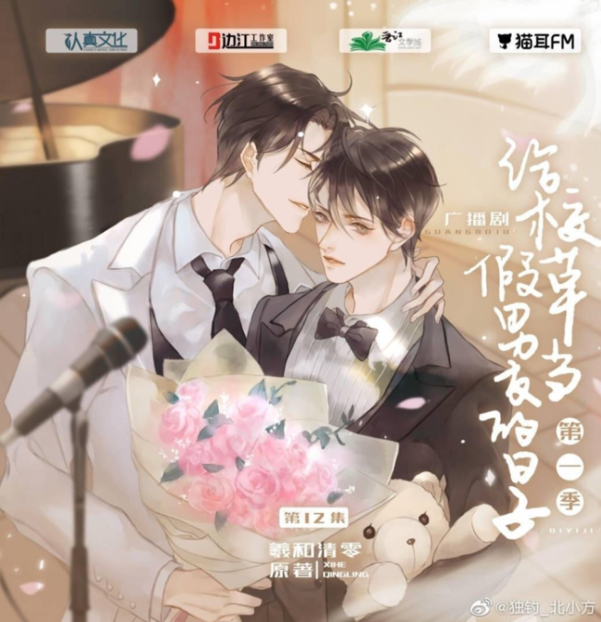 Novel cover image