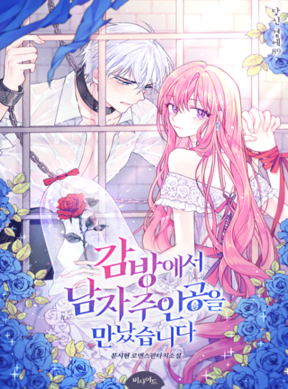 Novel cover image