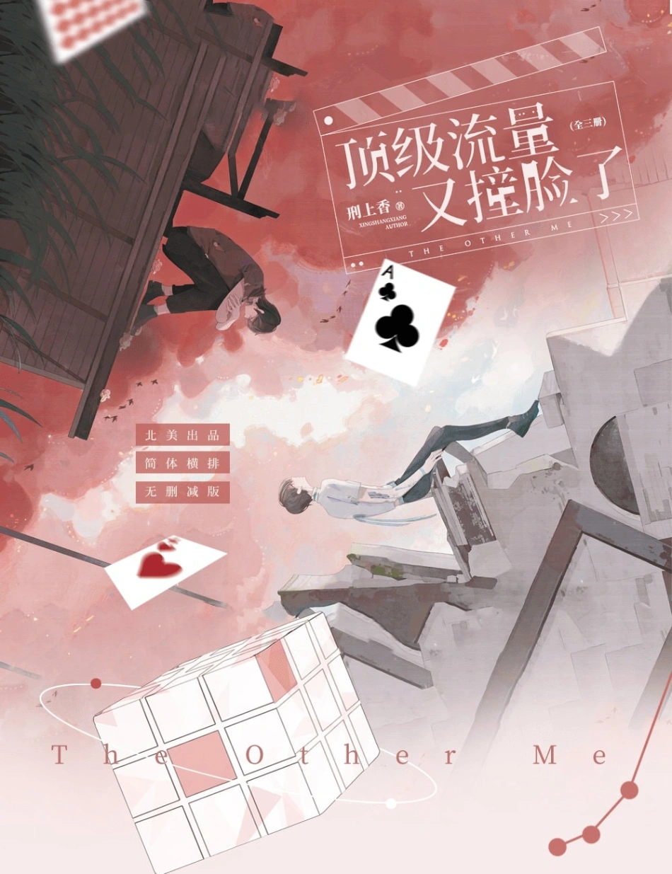 Novel cover image