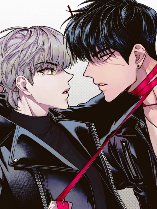 Novel cover image