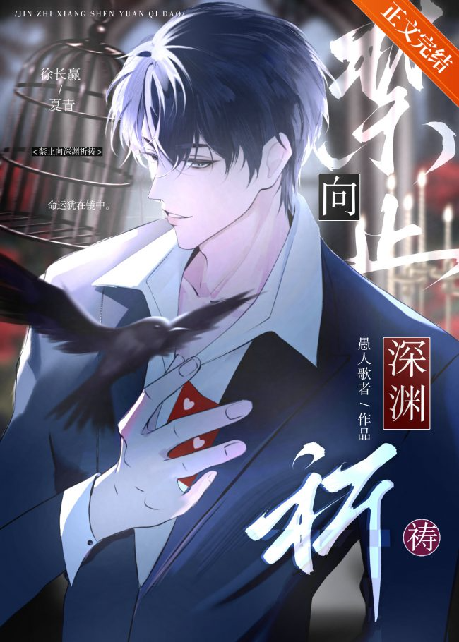 Novel cover image