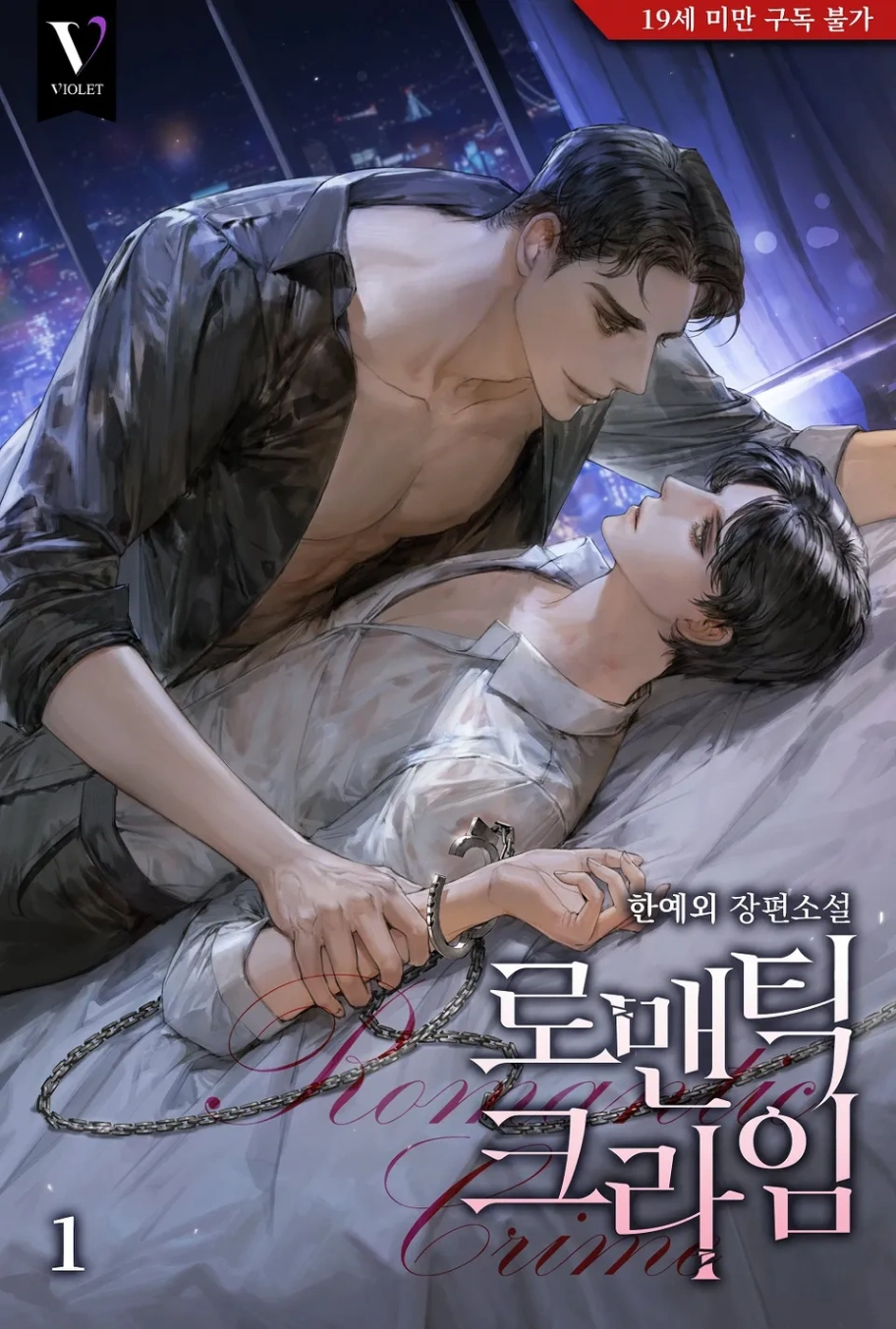 Novel cover image