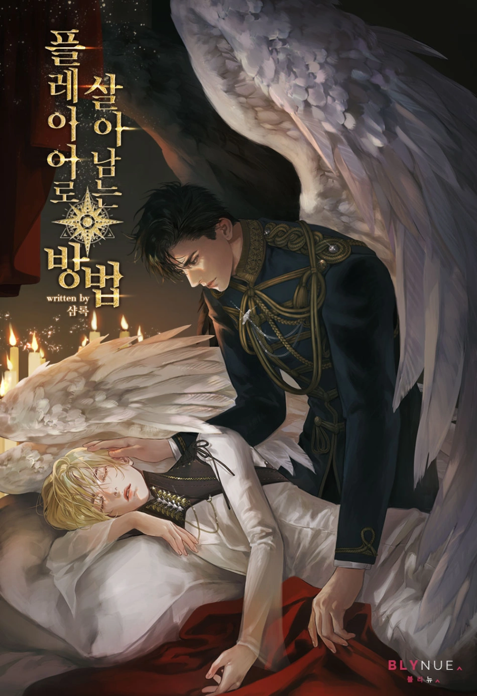 Novel cover image