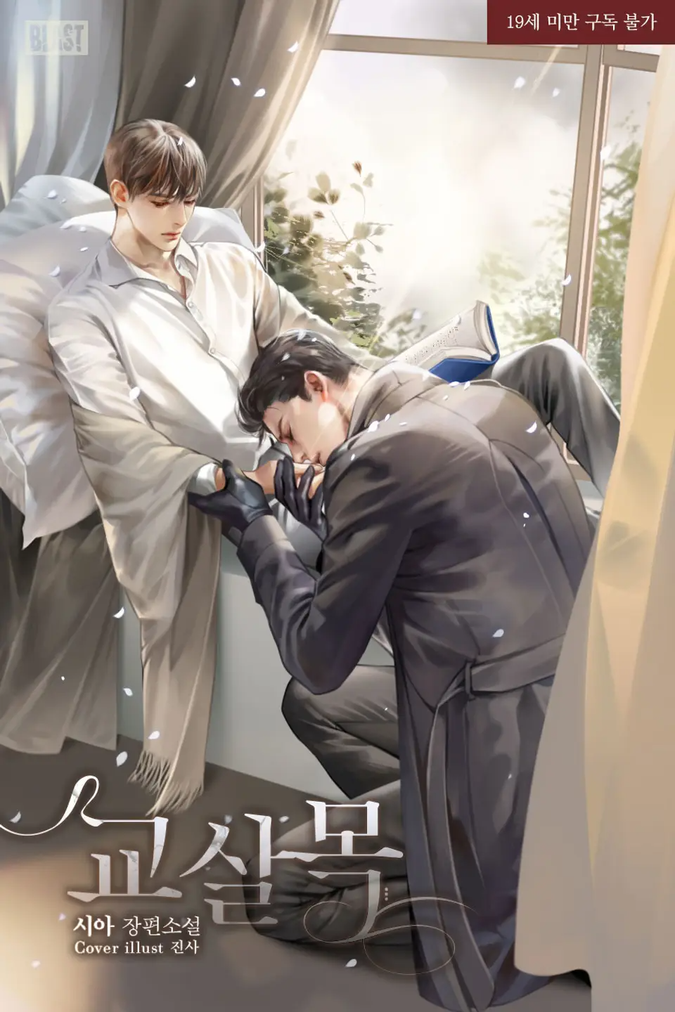 Novel cover image