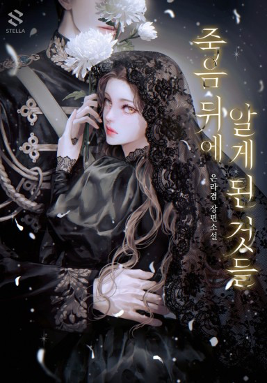 Novel cover image