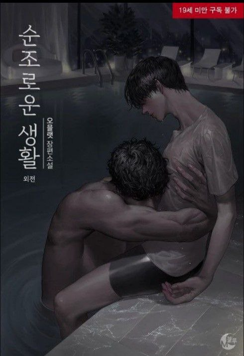 Novel cover image