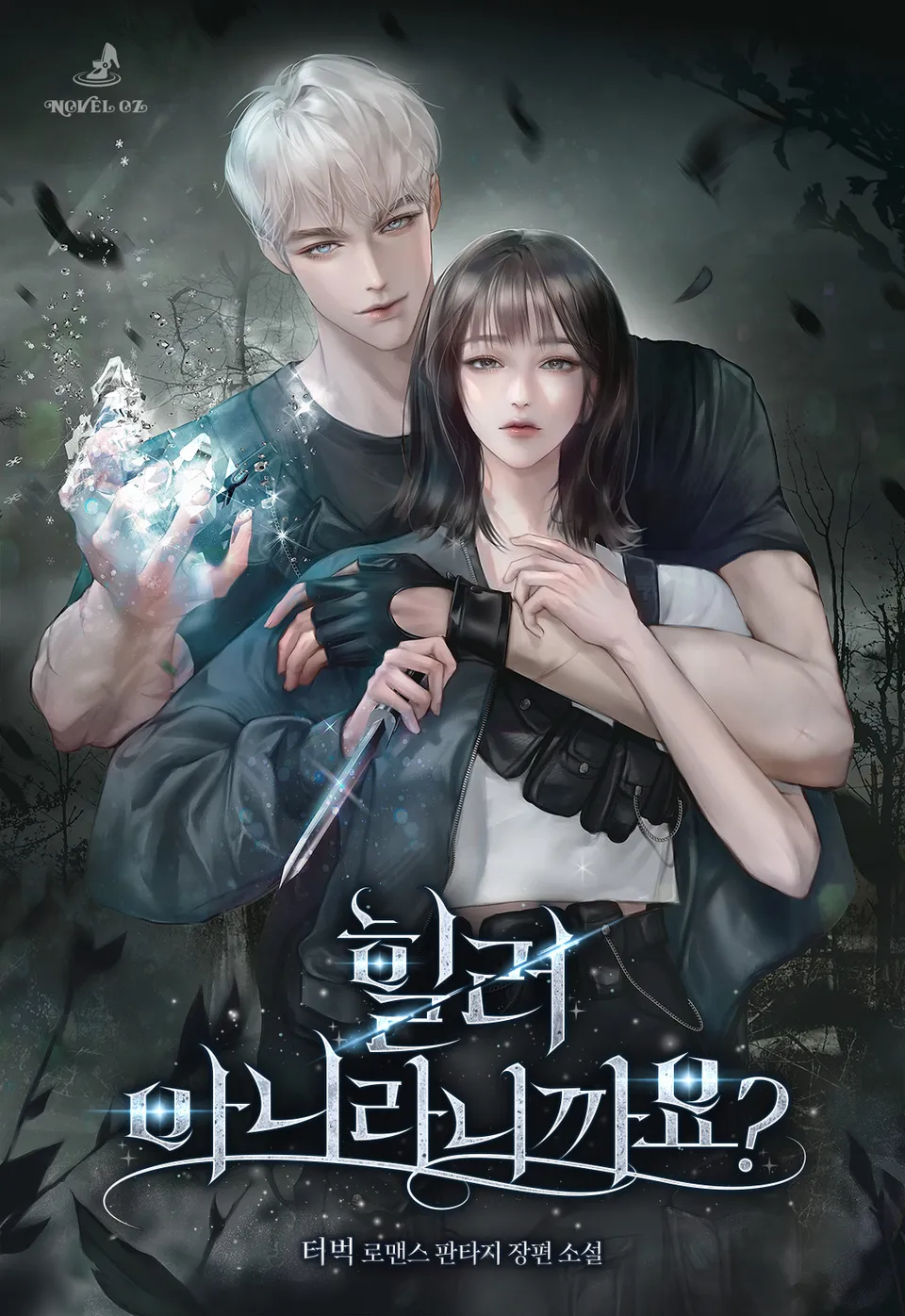Novel cover image