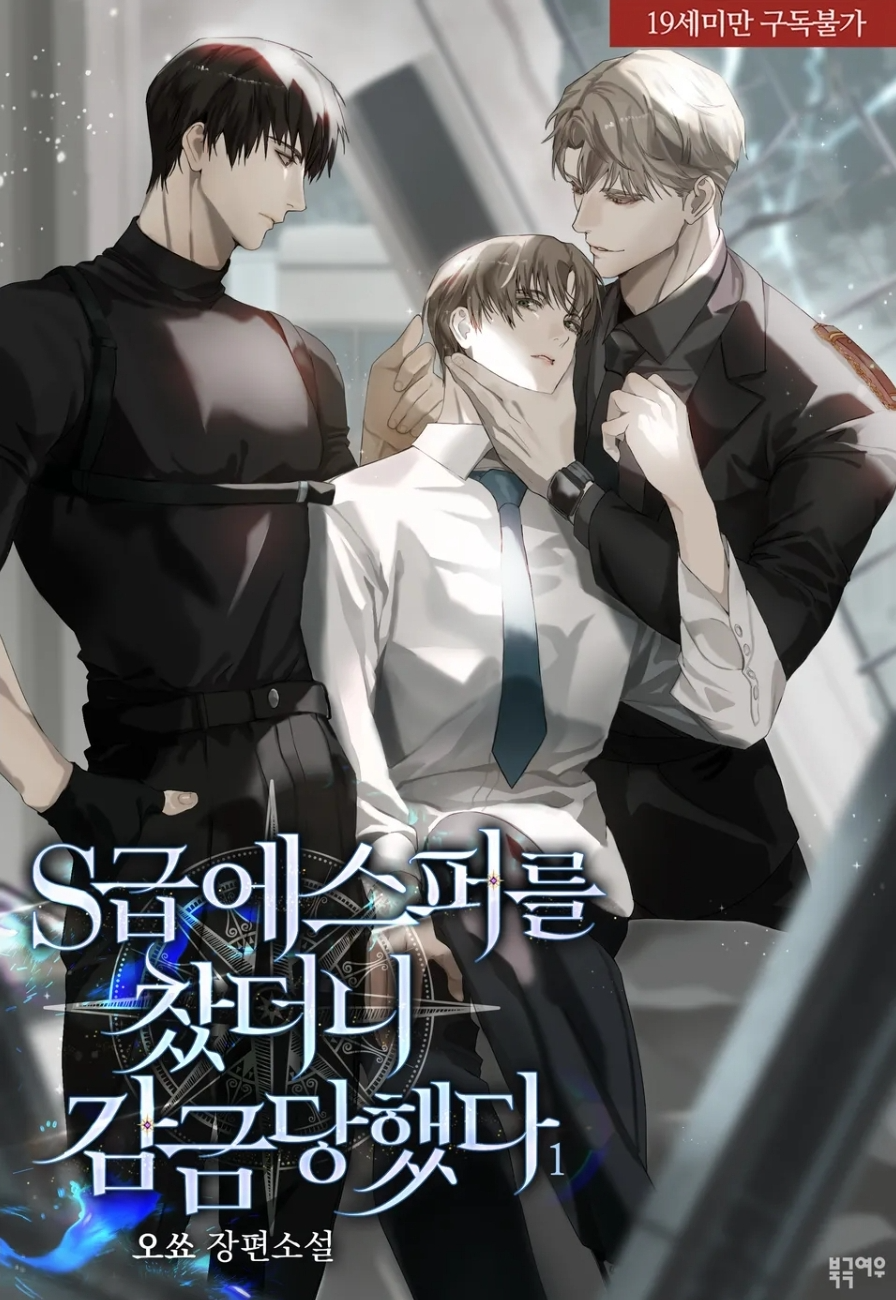 Novel cover image