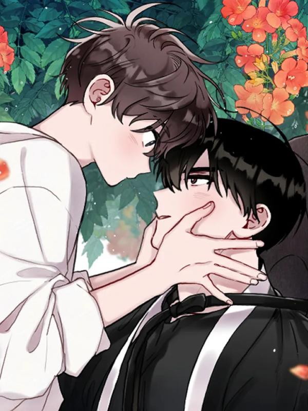 Novel cover image