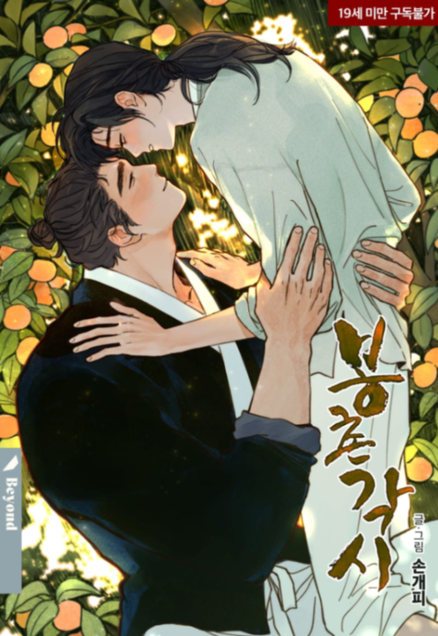Novel cover image