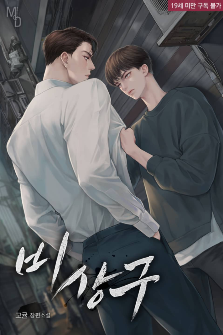 Novel cover image