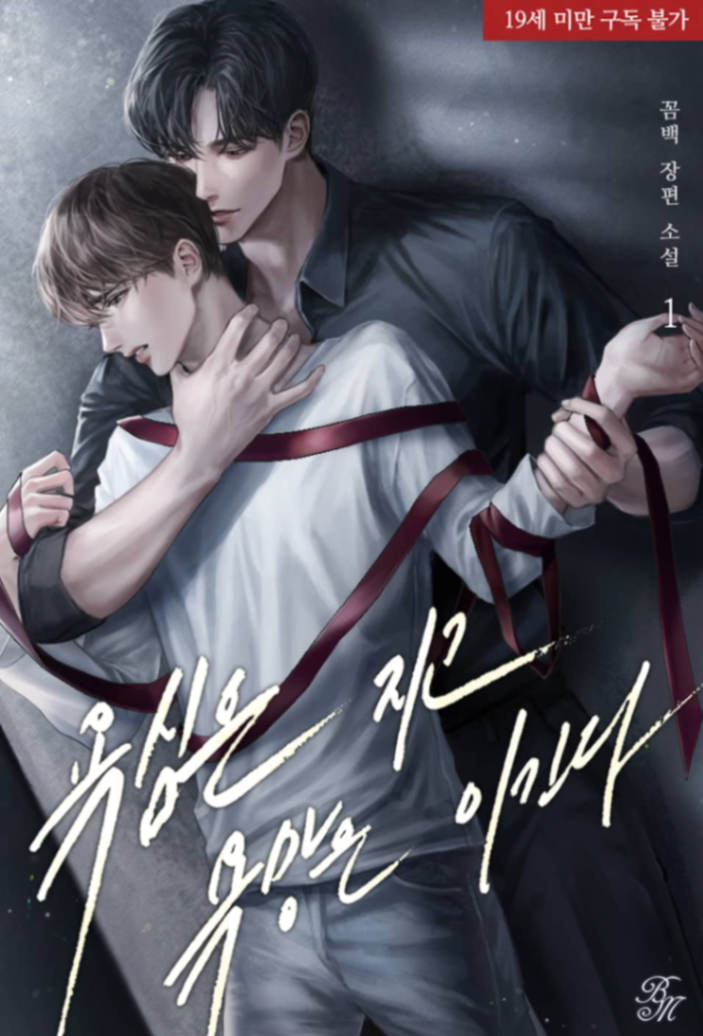 Novel cover image