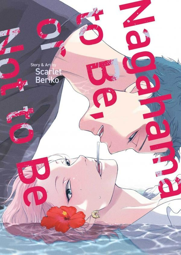 Novel cover image