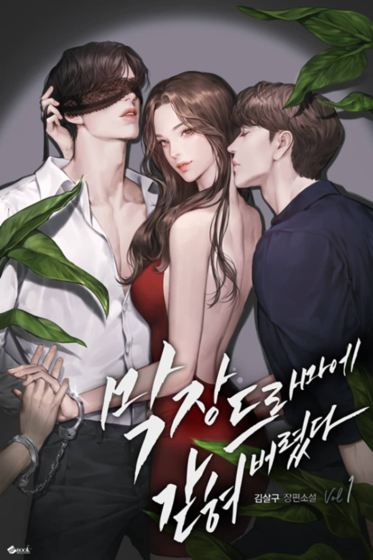 Novel cover image