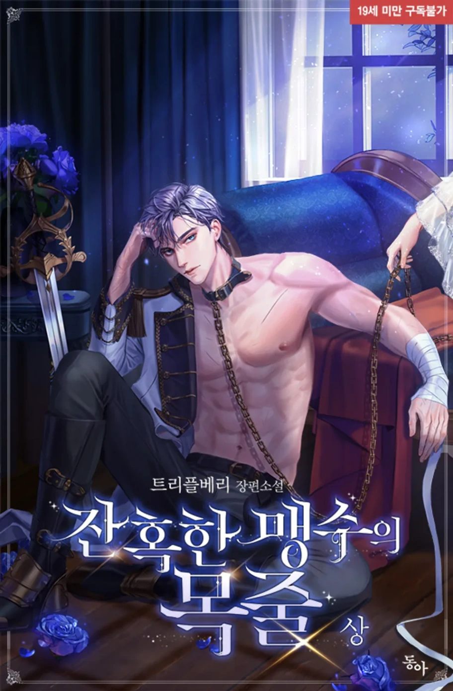 Novel cover image