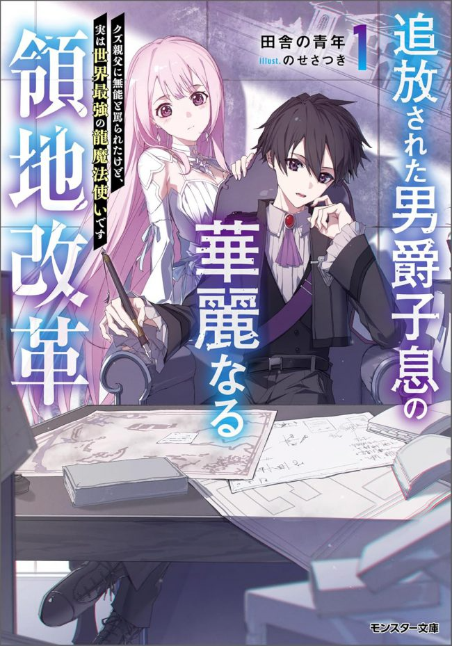 Novel cover image