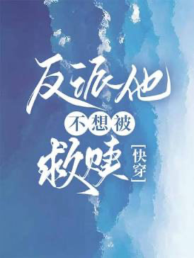 Novel cover image