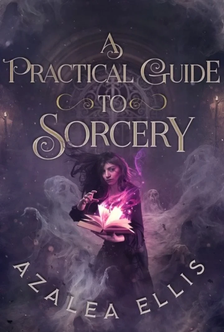 Novel cover image