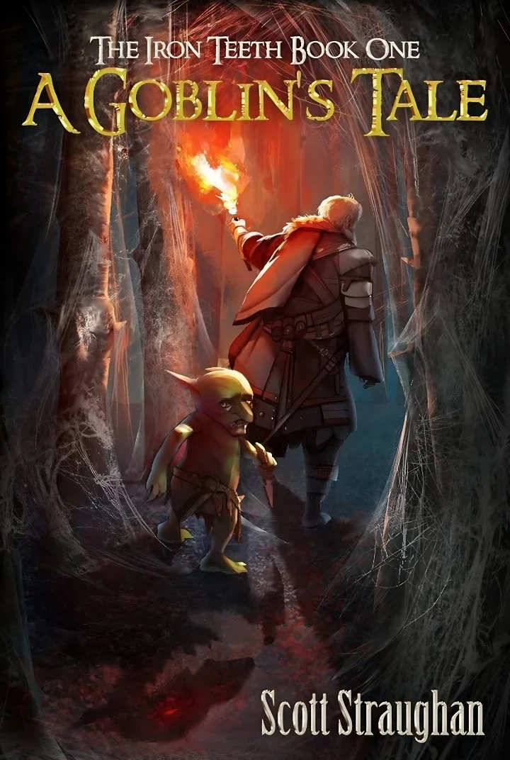 Novel cover image