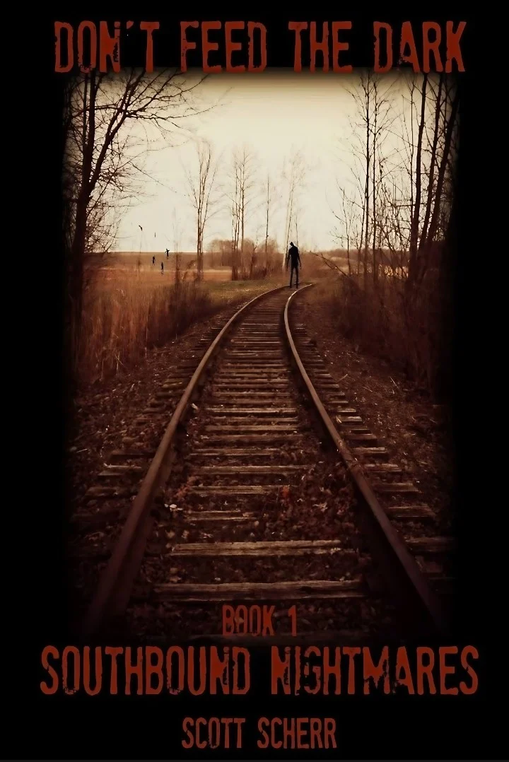 Novel cover image