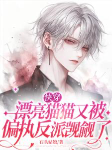 Novel cover image