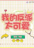 Novel cover image