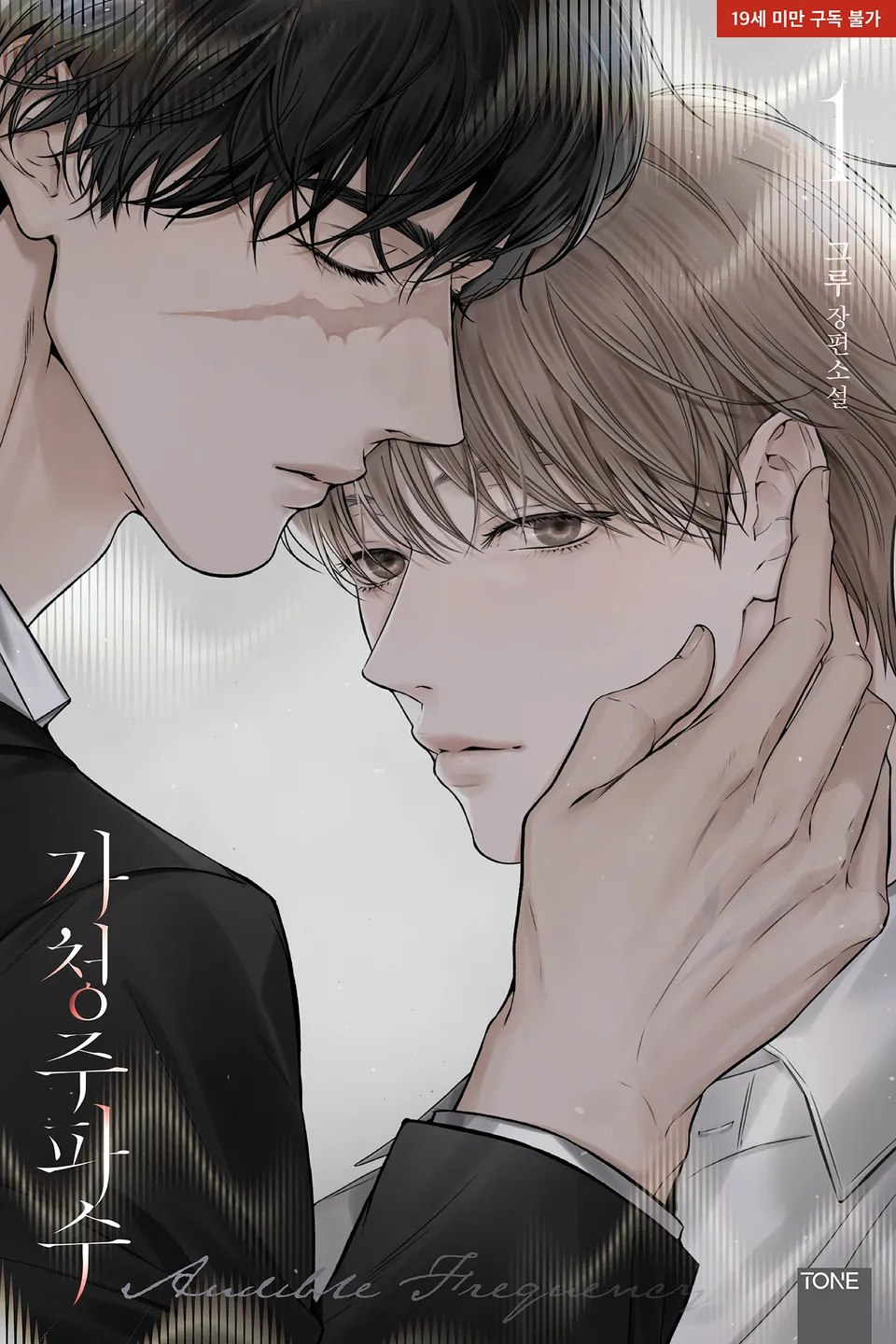 Novel cover image