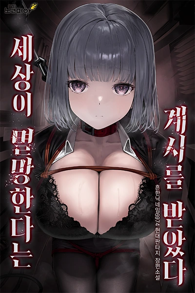 Novel cover image