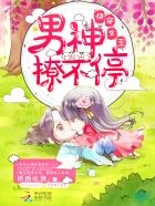 Novel cover image