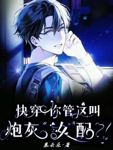 Novel cover image