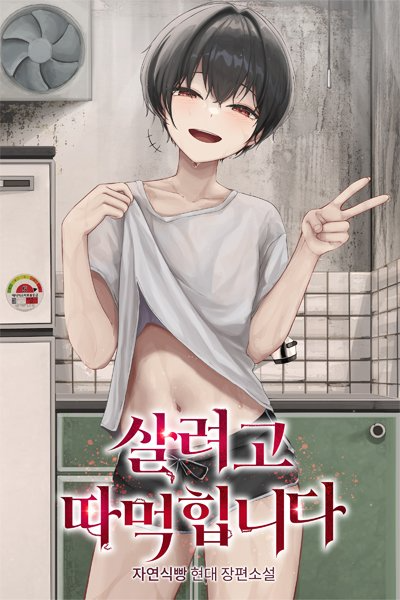 Novel cover image