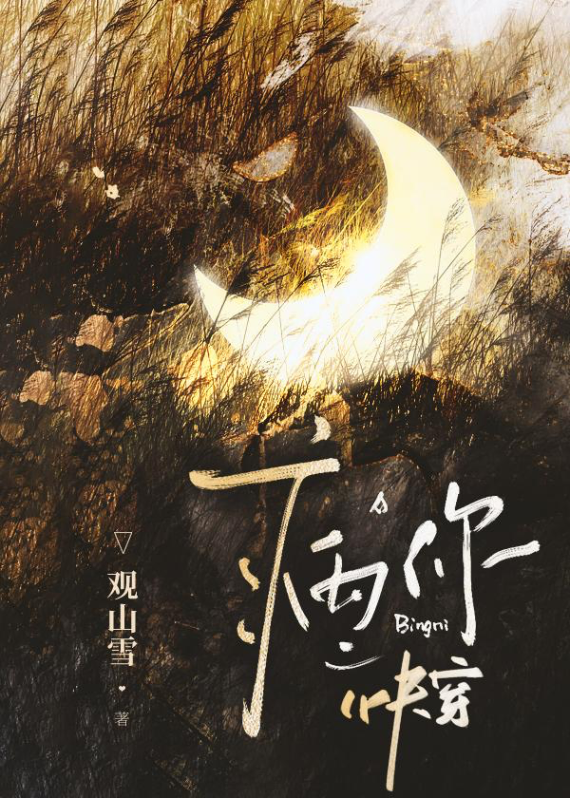 Novel cover image