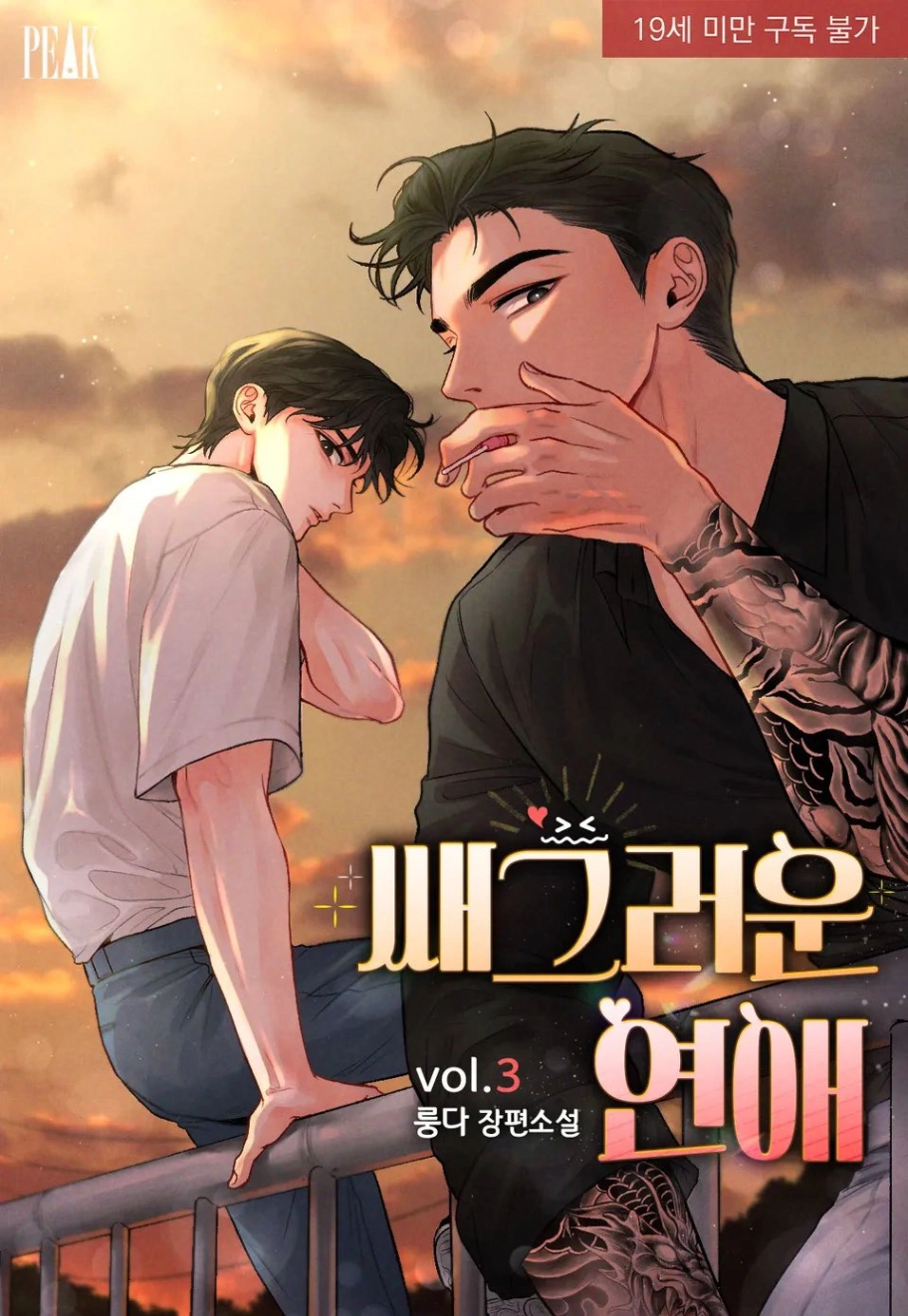 Novel cover image