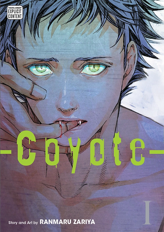 Novel cover image