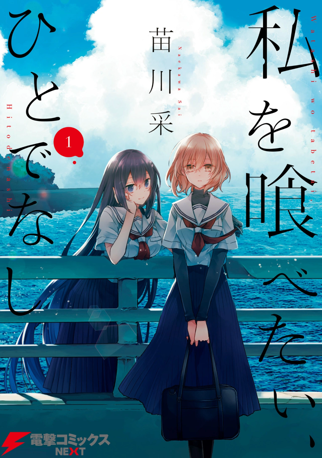 Novel cover image