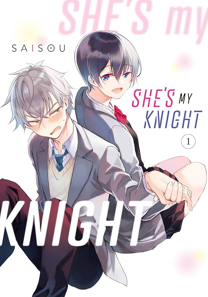 Novel cover image
