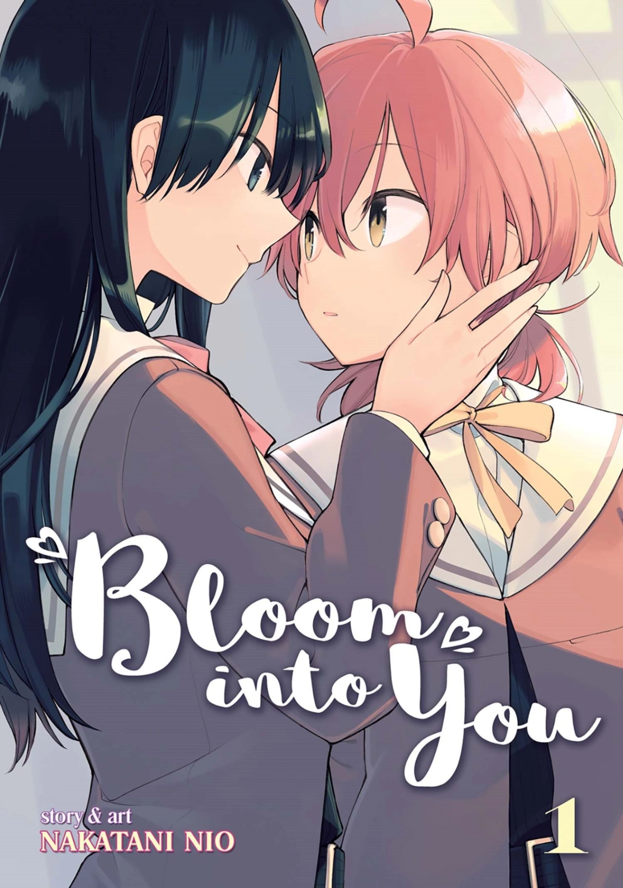 Novel cover image