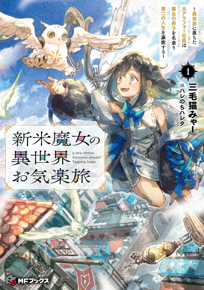 Novel cover image