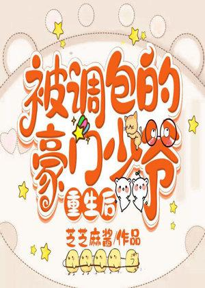 Novel cover image