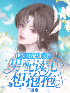 Novel cover image
