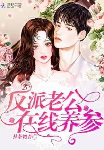 Novel cover image