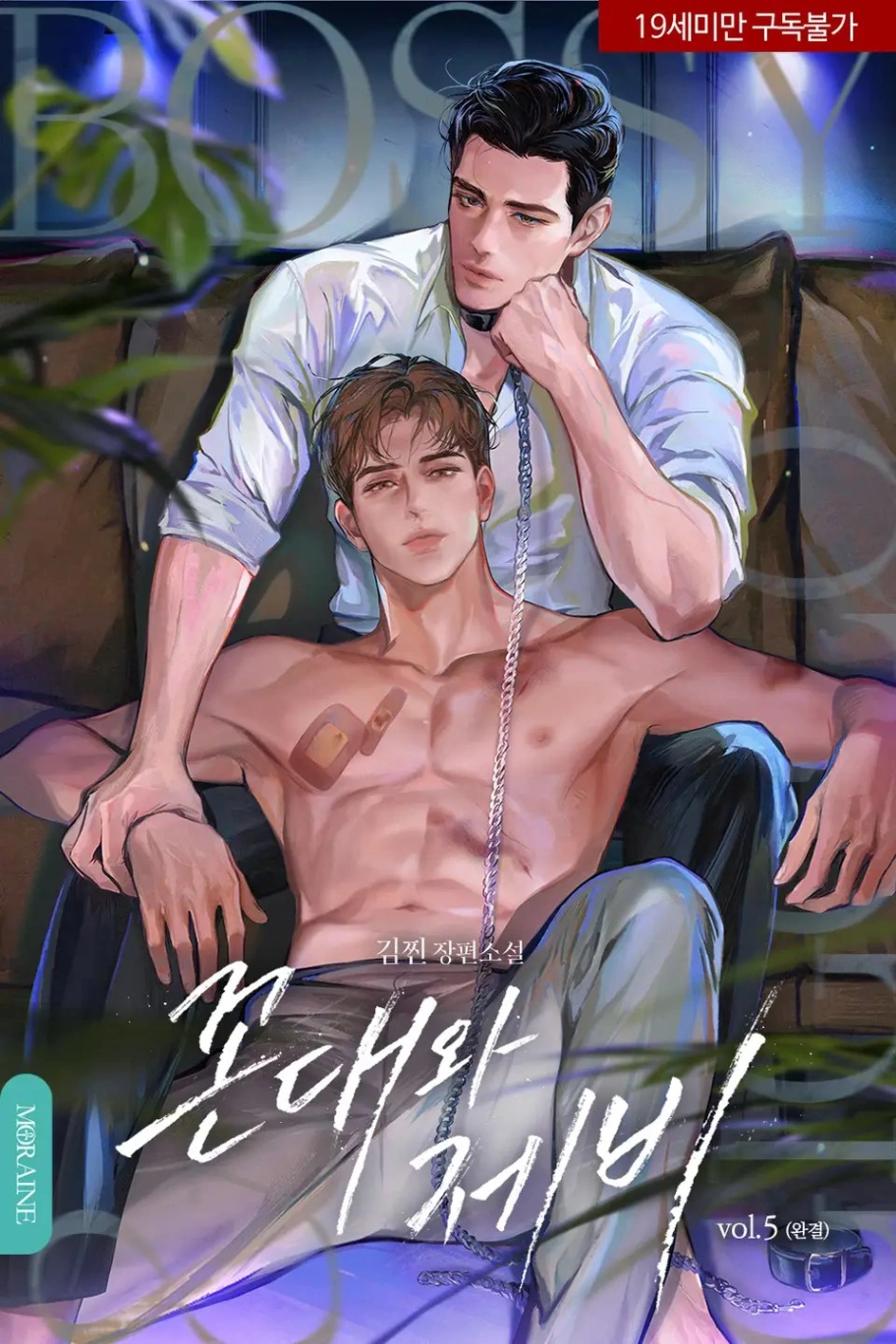 Novel cover image
