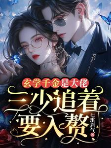 Novel cover image