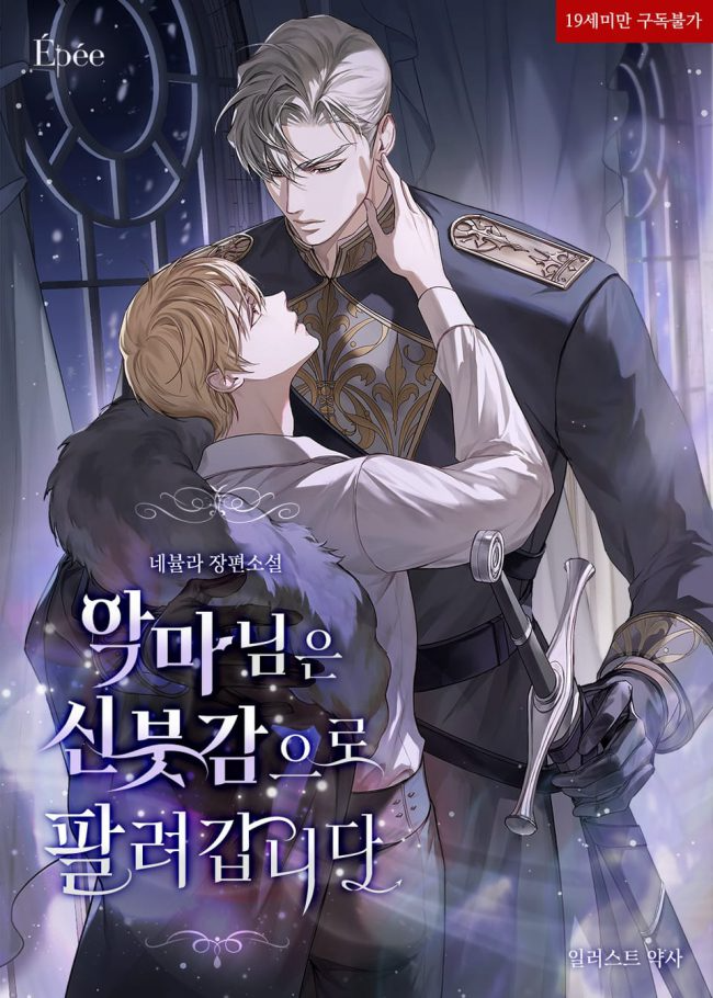 Novel cover image